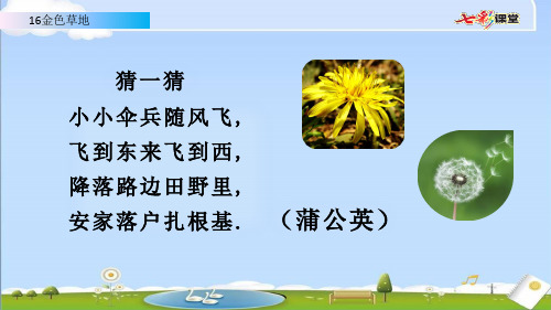 语文三年级上册 16 金色的草地(名师配套PPT课件)