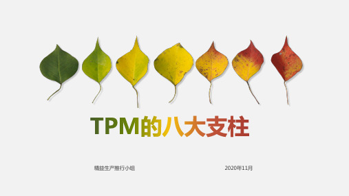 TPM的8大支柱