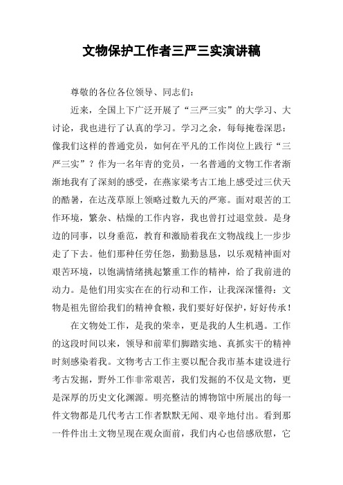 文物保护工作者三严三实演讲稿