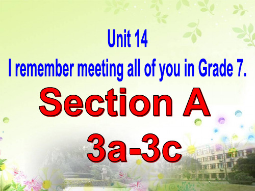 人教课标版九年级Unit 14 Section A 3a-3c