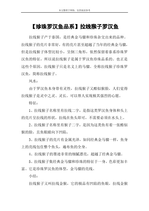 【珍珠罗汉鱼品系】拉线猴子罗汉鱼
