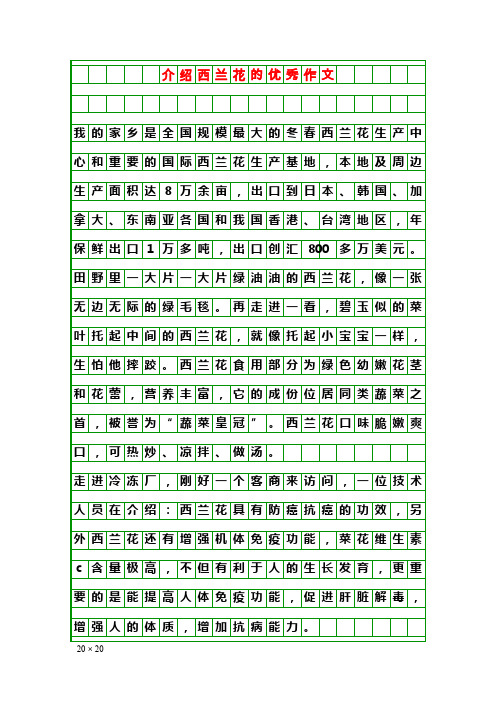 写作素材：介绍西兰花的优秀作文