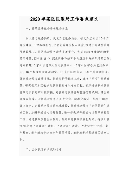 2020年某区民政局工作要点范文