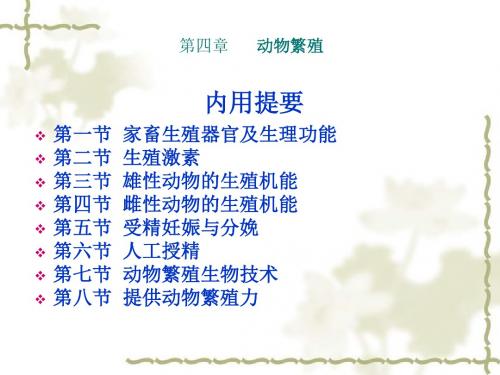 第四章      动物繁殖