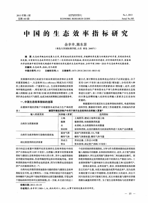 中国的生态效率指标研究