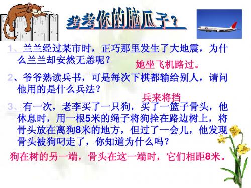 语文版九年级上册第三单元《大小猫洞》课件