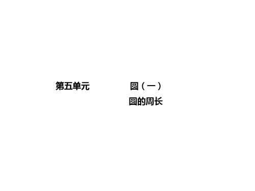 六年级上册数学课件-第12讲 圆(二)(43页PPT)人教版