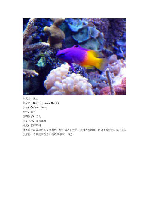 海鱼