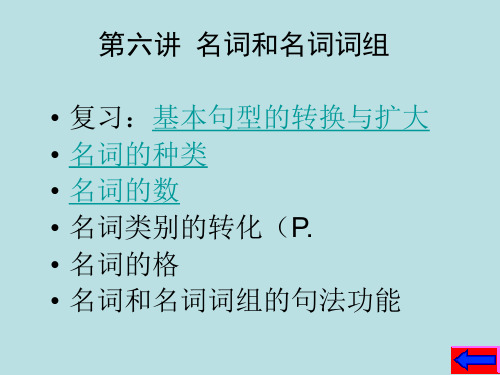 第六讲 名词和名词词组