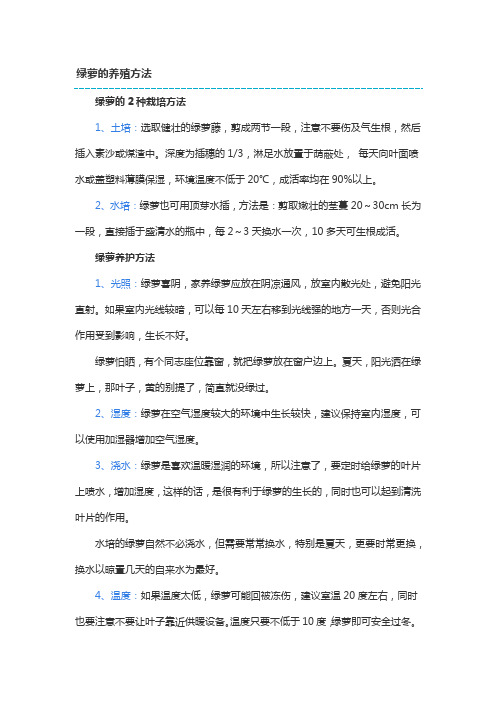 绿萝的养殖方法和防护