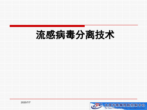 流感病毒分离技术2019.3.3