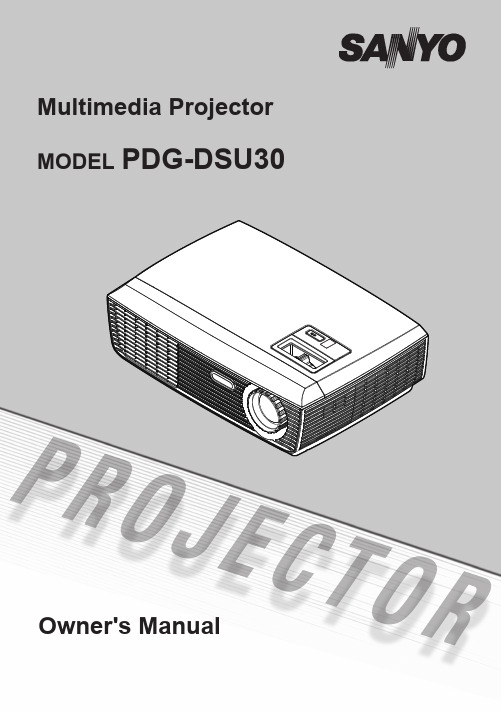 日本三洋PDG DSU30 投影仪说明书②