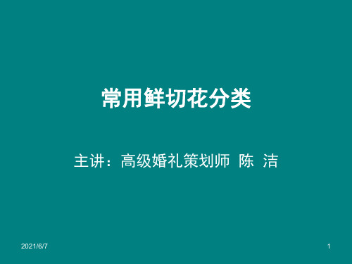 花材种类素材库