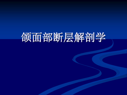 颌面部断层解剖学