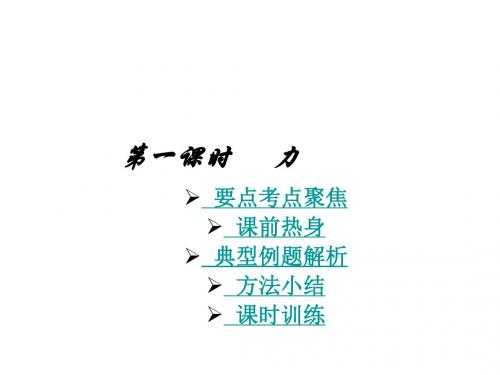 中考物理力复习课件(2018-2019)