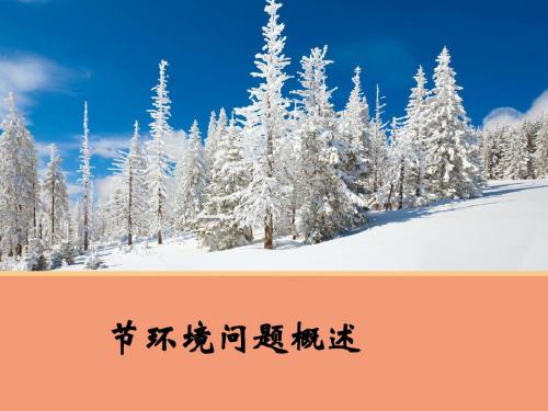 环境问题概述PPT课件(上课用)3(4份打包) 3