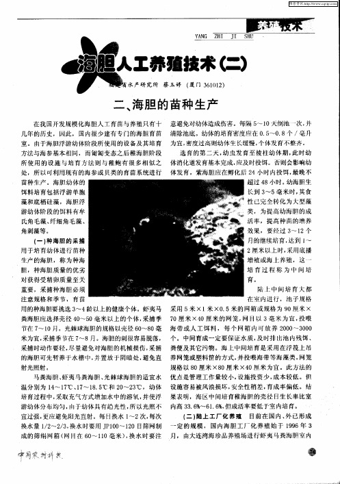 海胆人工养殖技术(一)
