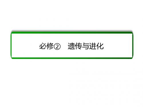 高考生物一轮复习课件：23从杂交育种到基因工程