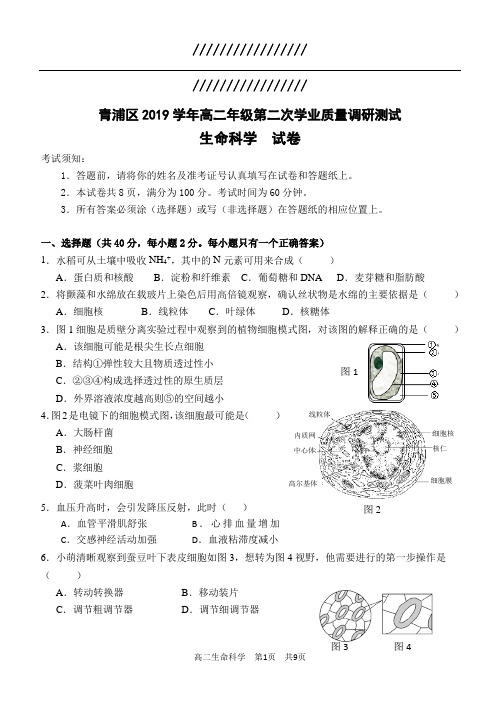 2020上海高考青浦区生物二模试卷