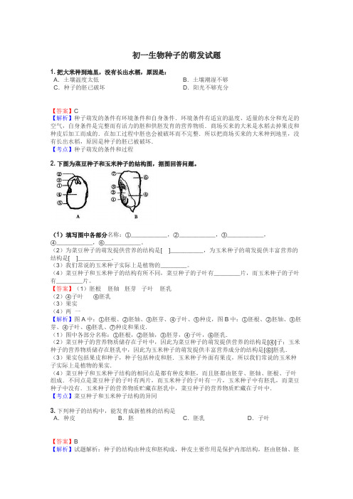 初一生物种子的萌发试题
