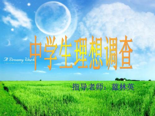 中学生理想调查