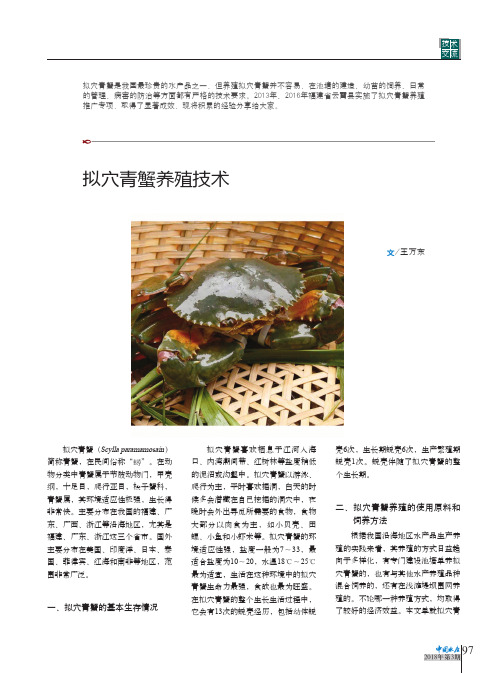 拟穴青蟹养殖技术