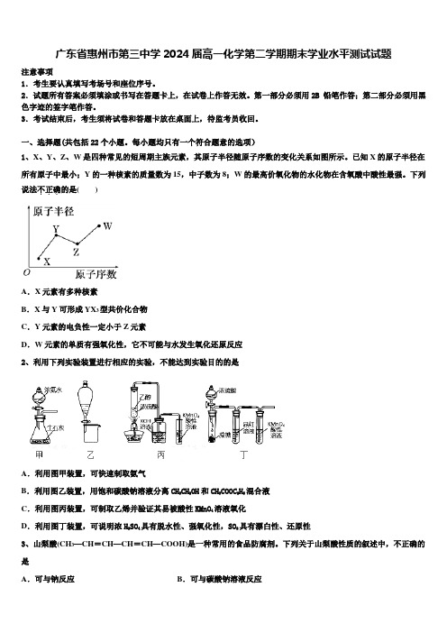 广东省惠州市第三中学2024届高一化学第二学期期末学业水平测试试题含解析