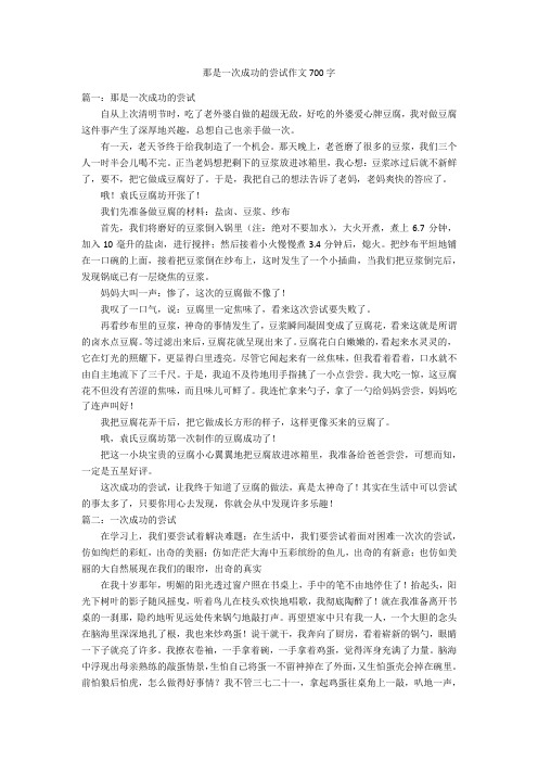 那是一次成功的尝试作文700字优秀作文