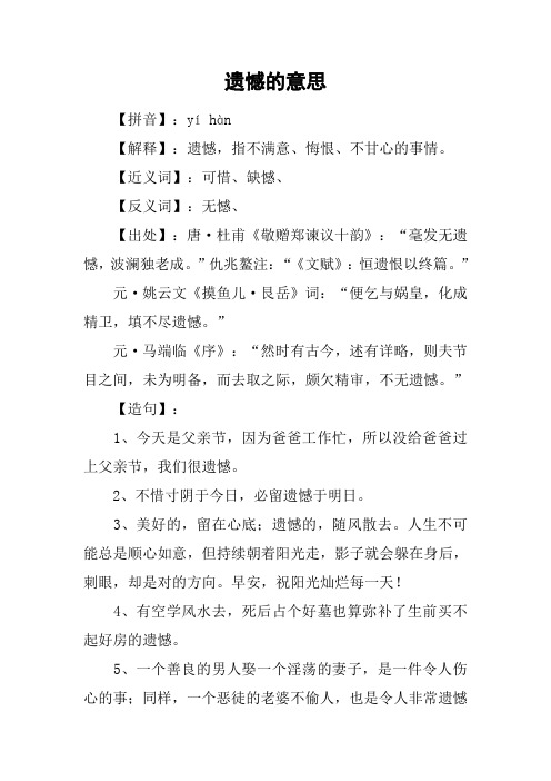 遗憾的意思
