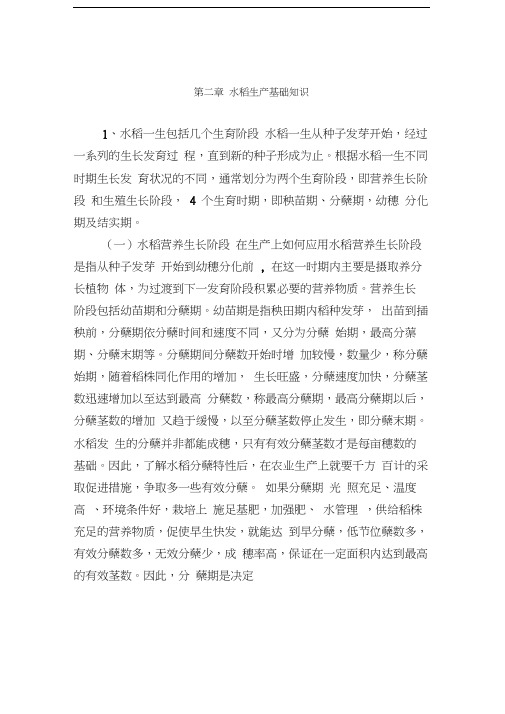 水稻生产基础知识