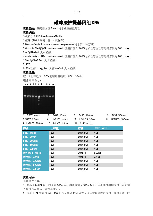 磁珠法抽提DNA9.18