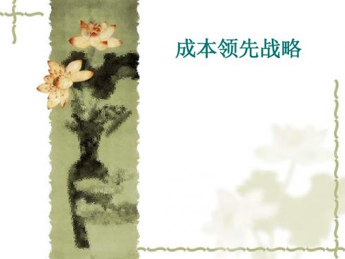 格兰仕成本战略