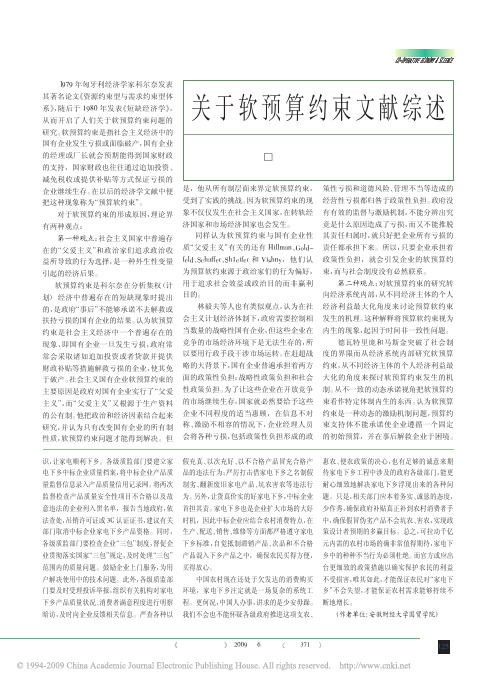 关于软预算约束文献综述