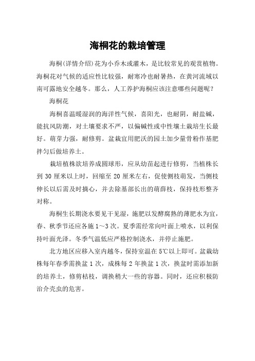 海桐花的栽培管理