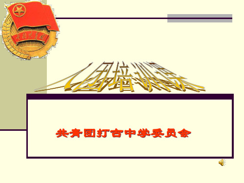 入团培训资料