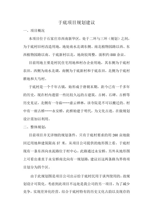 于底项目规划建议