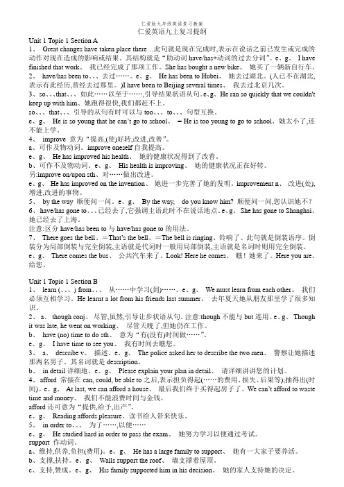 仁爱版九年级英语复习教案
