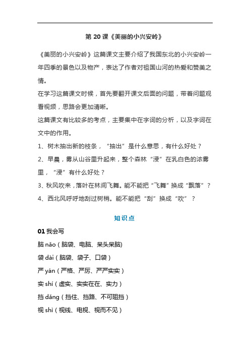 统编版三年级语文上册第20课《美丽的小兴安岭》课文预习和知识点总结