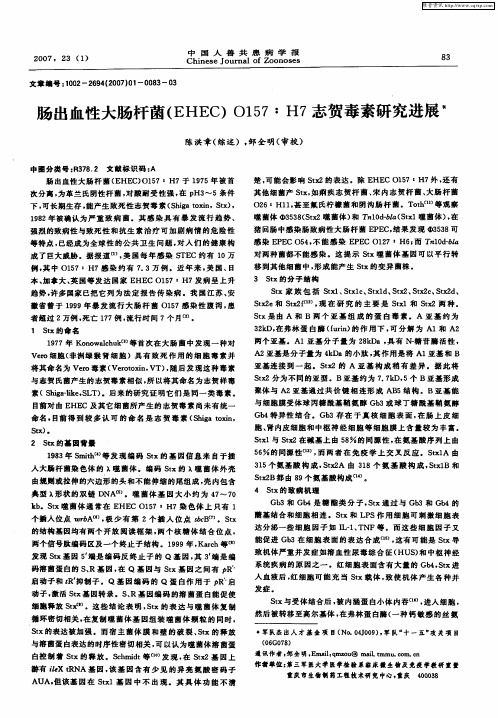 肠出血性大肠杆菌(EHEC)O157：H7志贺毒素研究进展
