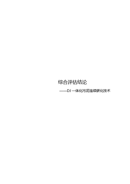 综合评估结论