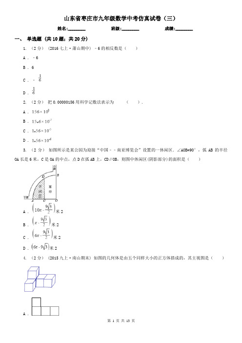 山东省枣庄市九年级数学中考仿真试卷(三)