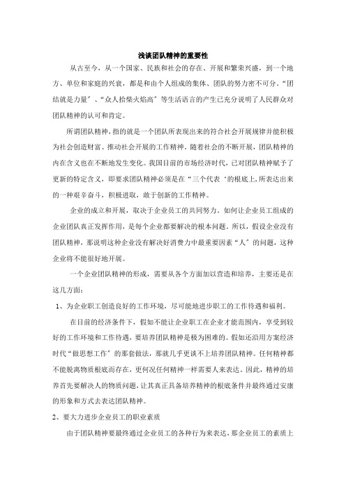 浅谈团队精神的重要性