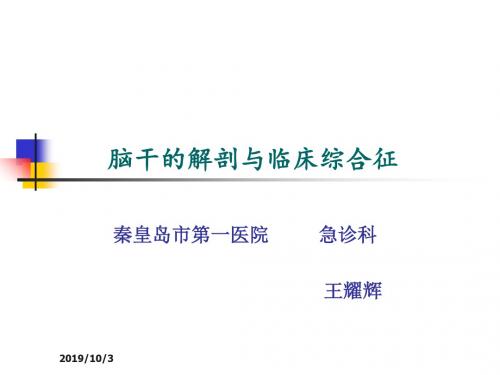 脑干解剖及综合征-42页PPT精品文档