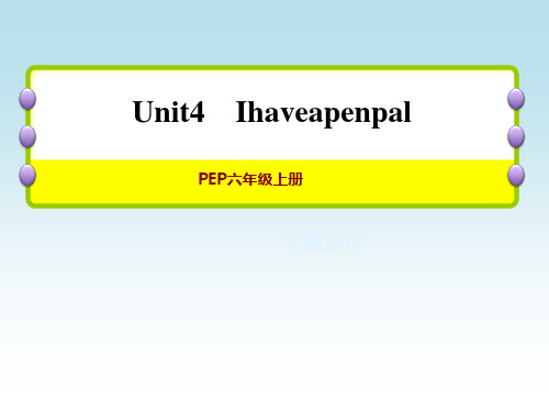 人教PEP版六年级英语上册Unit 4 单元整理与复习 周末主题素养练(二)