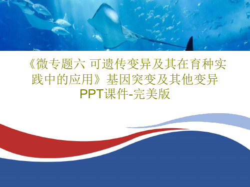 《微专题六 可遗传变异及其在育种实践中的应用》基因突变及其他变异PPT课件-完美版PPT文档29页