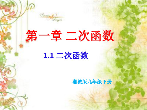 浙教版九年级数学上1.1二次函数 (共21张PPT)
