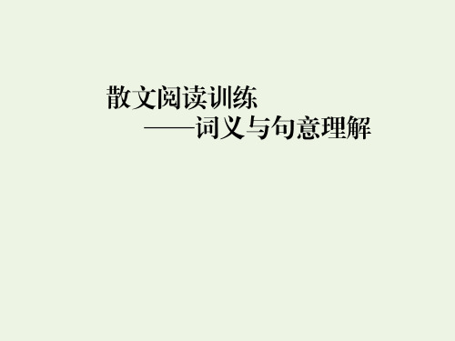 高考语文复习《散文阅读——词义与句意理解》PPT课件