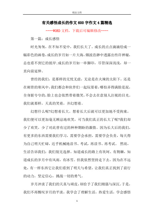 有关感悟成长的作文600字作文4篇精选