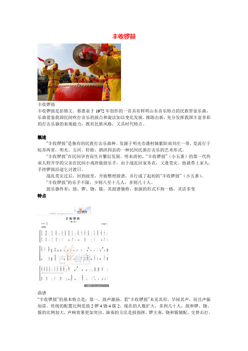 “丰收锣鼓”曲种简介.doc