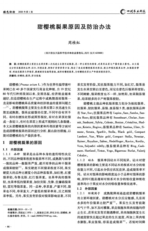 甜樱桃裂果原因及防治办法